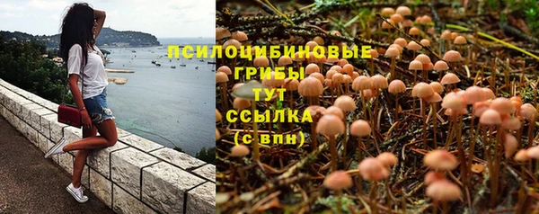 меф Алексин