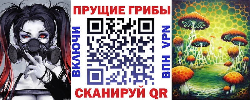 сколько стоит  Курганинск  Галлюциногенные грибы Magic Shrooms 