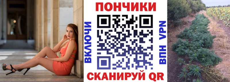 Шишки марихуана сатива  наркотики  Курганинск 